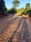 Pavimentação de estrada rural fortalece agroindústria familiar