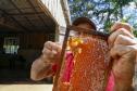 Puxado por Ortigueira, Paraná alcança a liderança na produção de mel