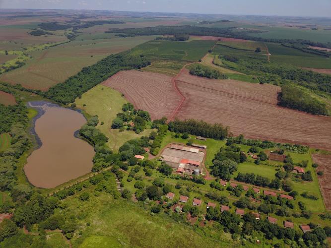 Fazenda de café