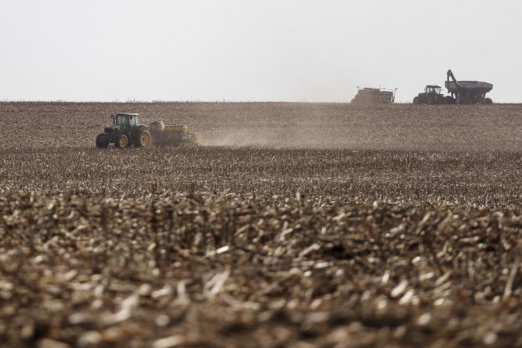 Boletim registra encerramento de plantio de várias culturas