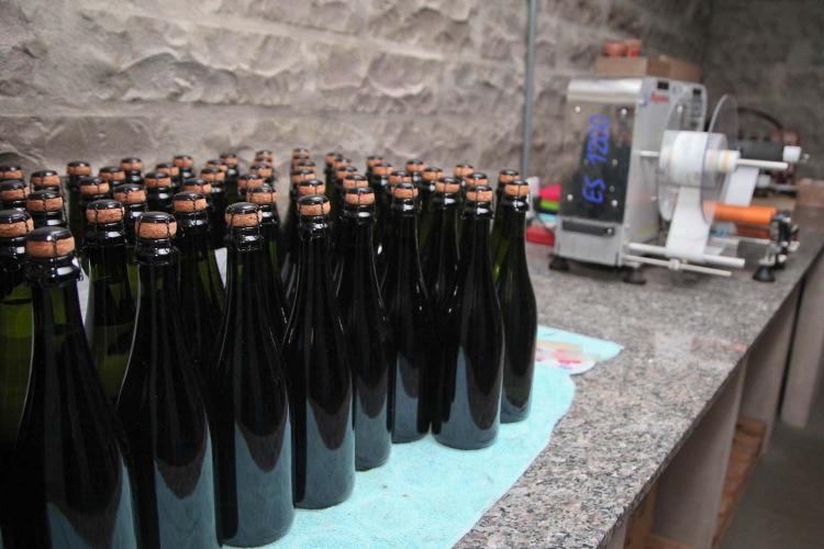 vinho