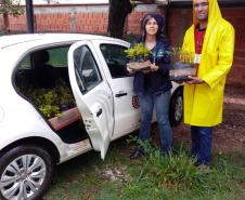 Seab participa de ação do Programa Paraná Mais Verde