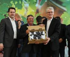 O governador Carlos Massa Ratinho Junior e o secretário da Agricultura e do Abastecimento, Noberto Ortigara, lançaram, no Palácio Iguaçu, o programa Revitis, destinado a estimular a produção de uvas no Paraná.