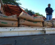 Governo do Estado entrega sementes a produtores atingidos por tempestade