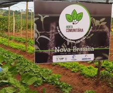 Moradores de Araruna ganham primeira Horta Comunitária