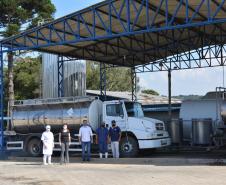 Programa de distribuição de leite do Paraná completa 18 anos no combate à desnutrição infantil