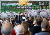 Um ano após conquista sanitária, Paraná reúne mais condições para crescer