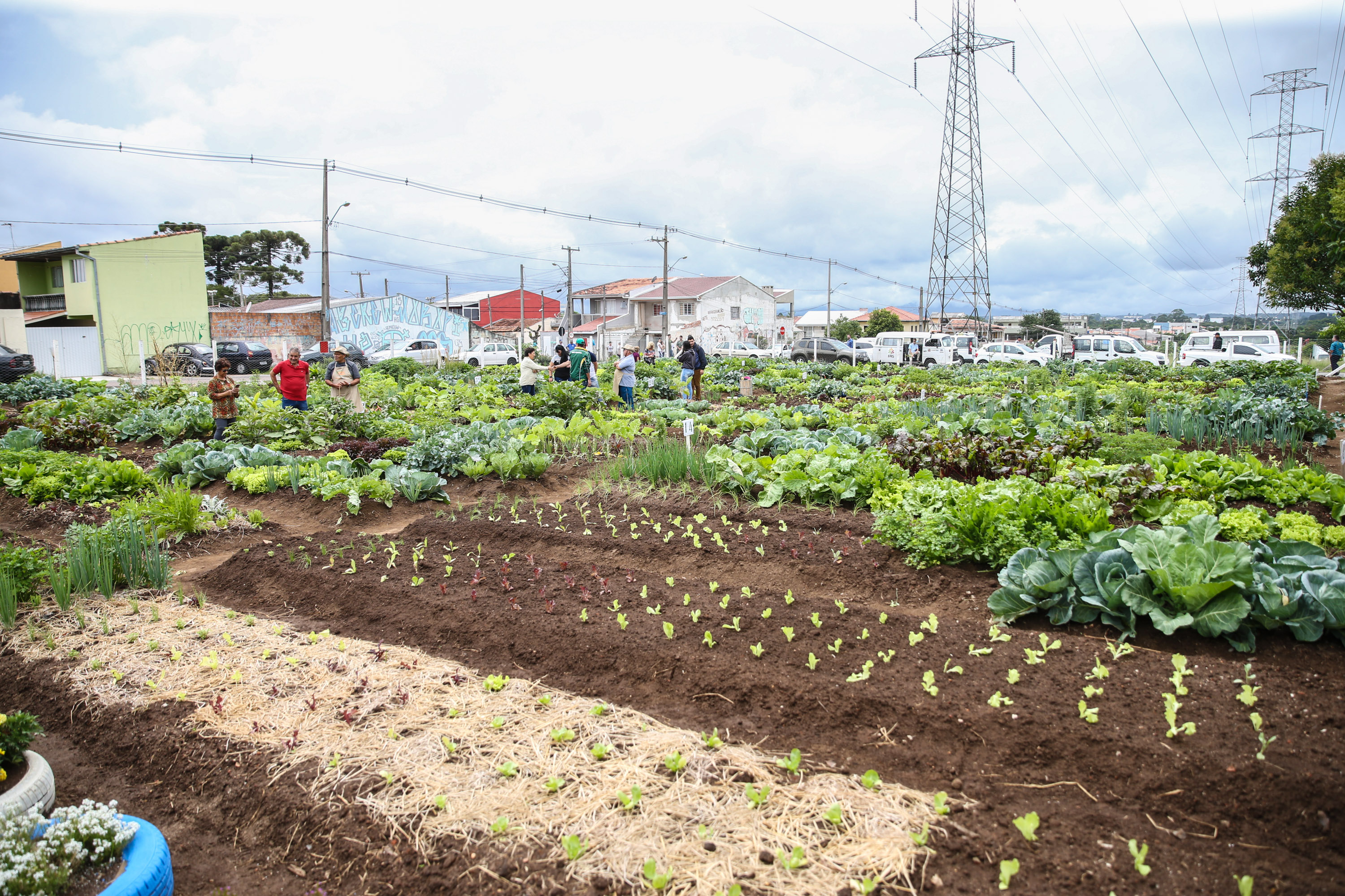 Uberaba ganha unidade do programa Hortas Comunitárias