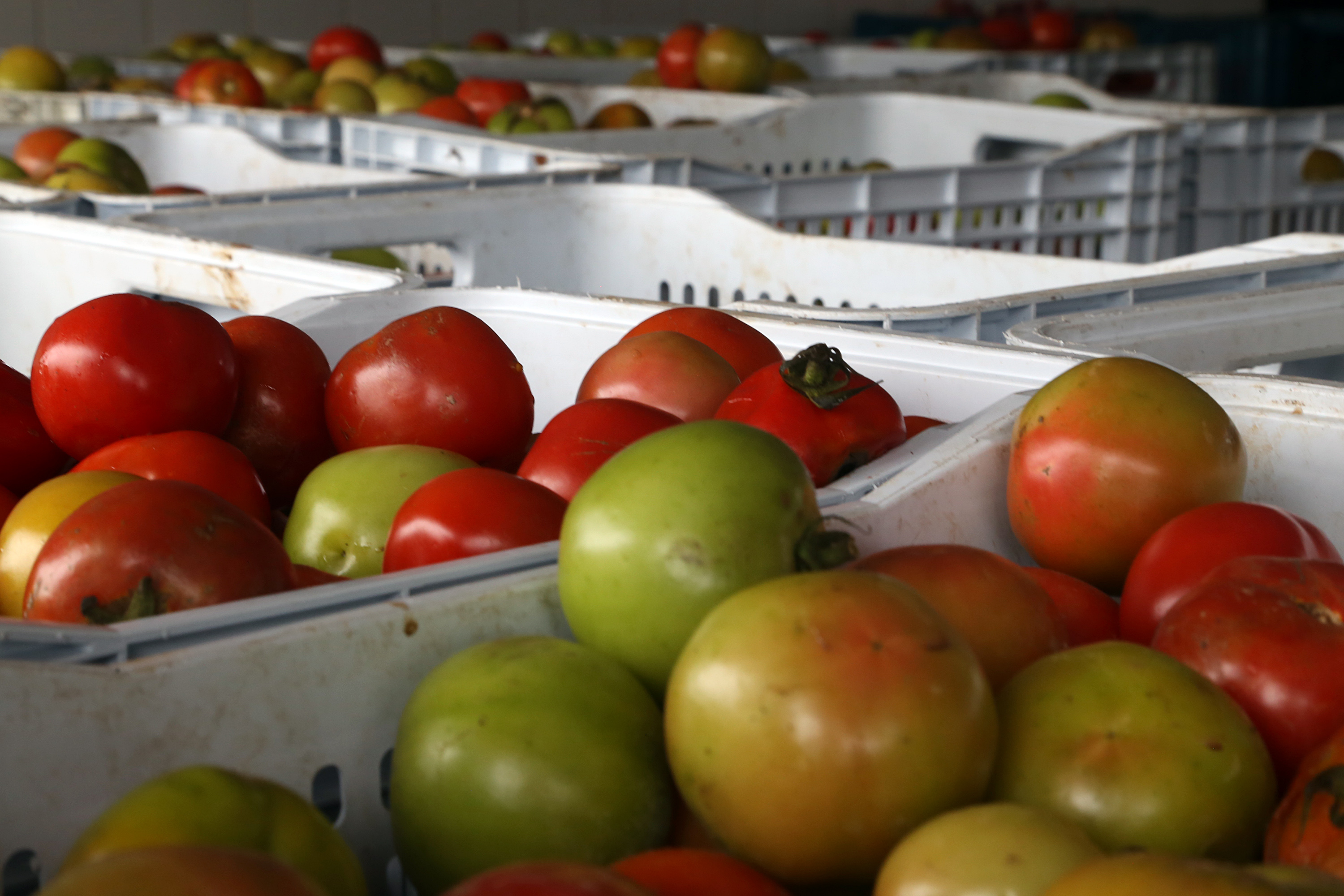 Banco de alimentos ajuda na pandemia