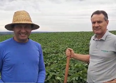 produtor e técnico IDR-Paraná