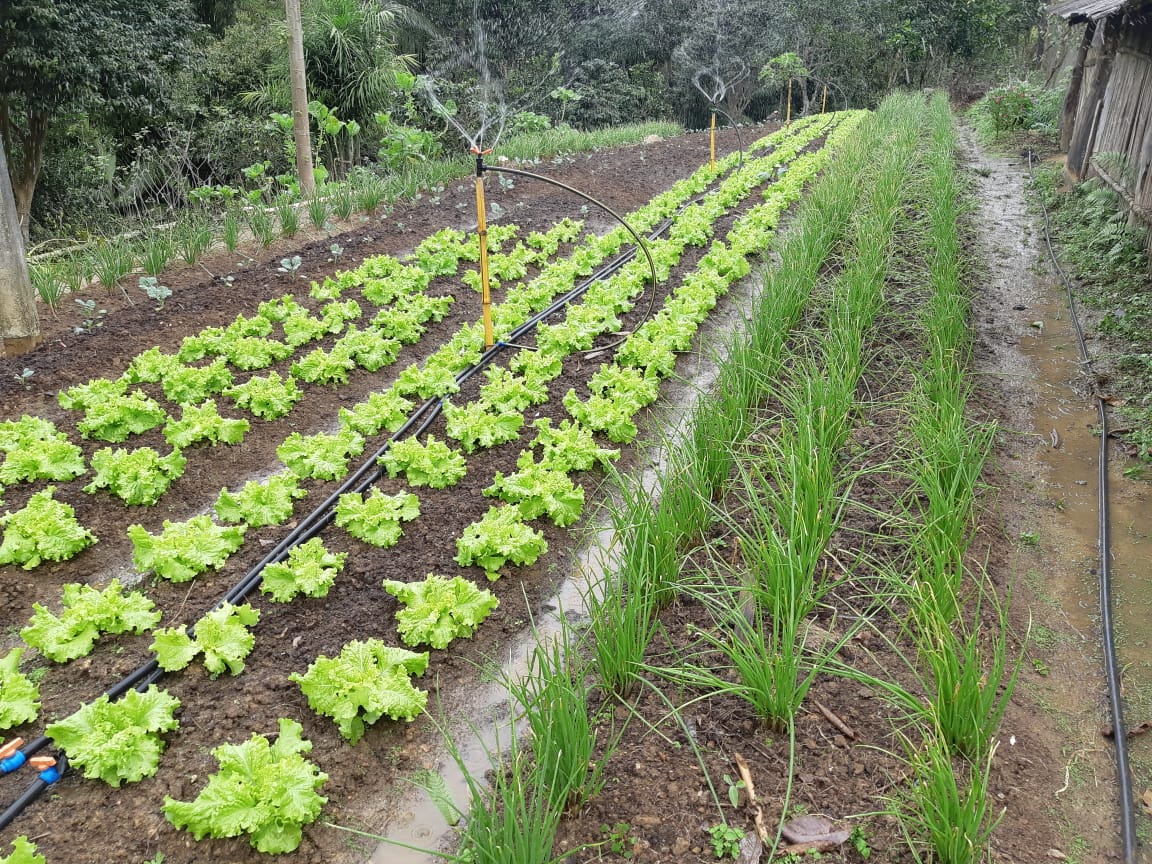 Adrianópolis - Córrego das Moças