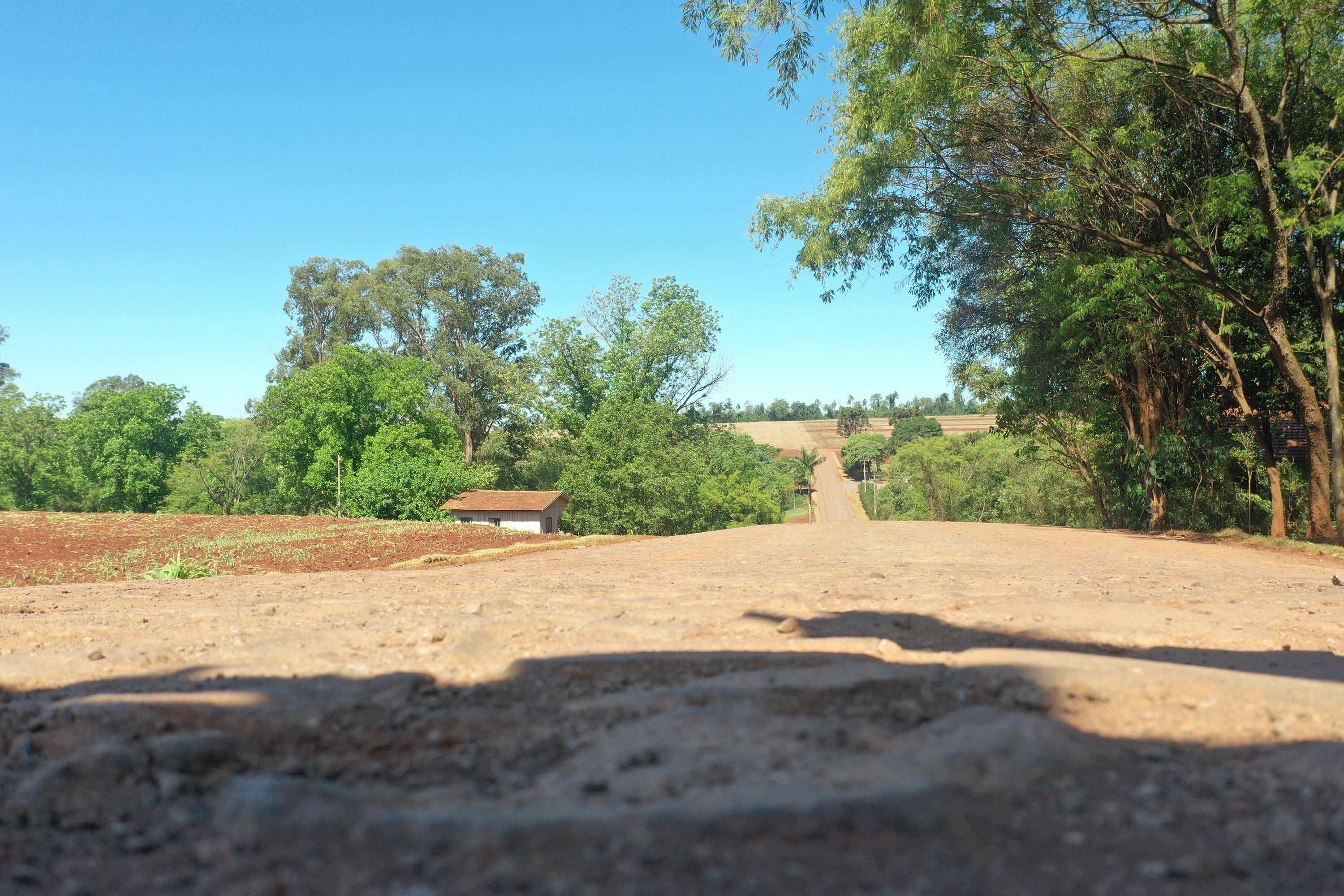 estrada palotina