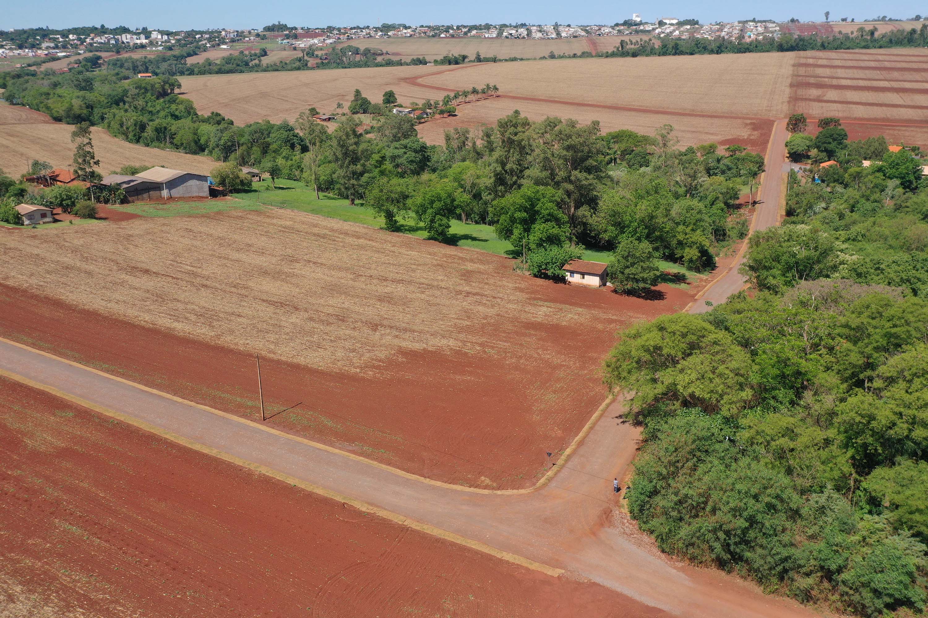 estrada palotina