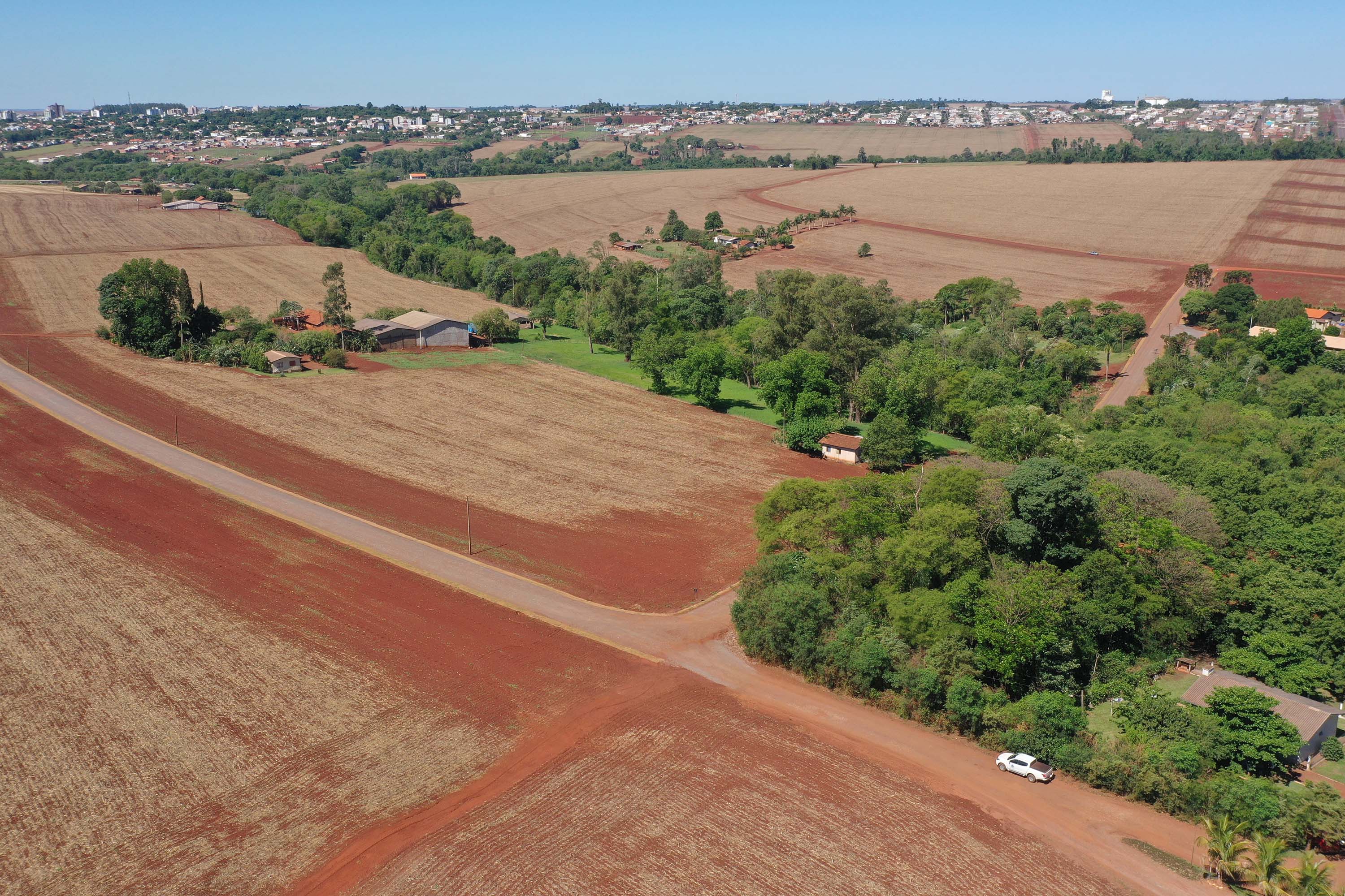 estrada palotina