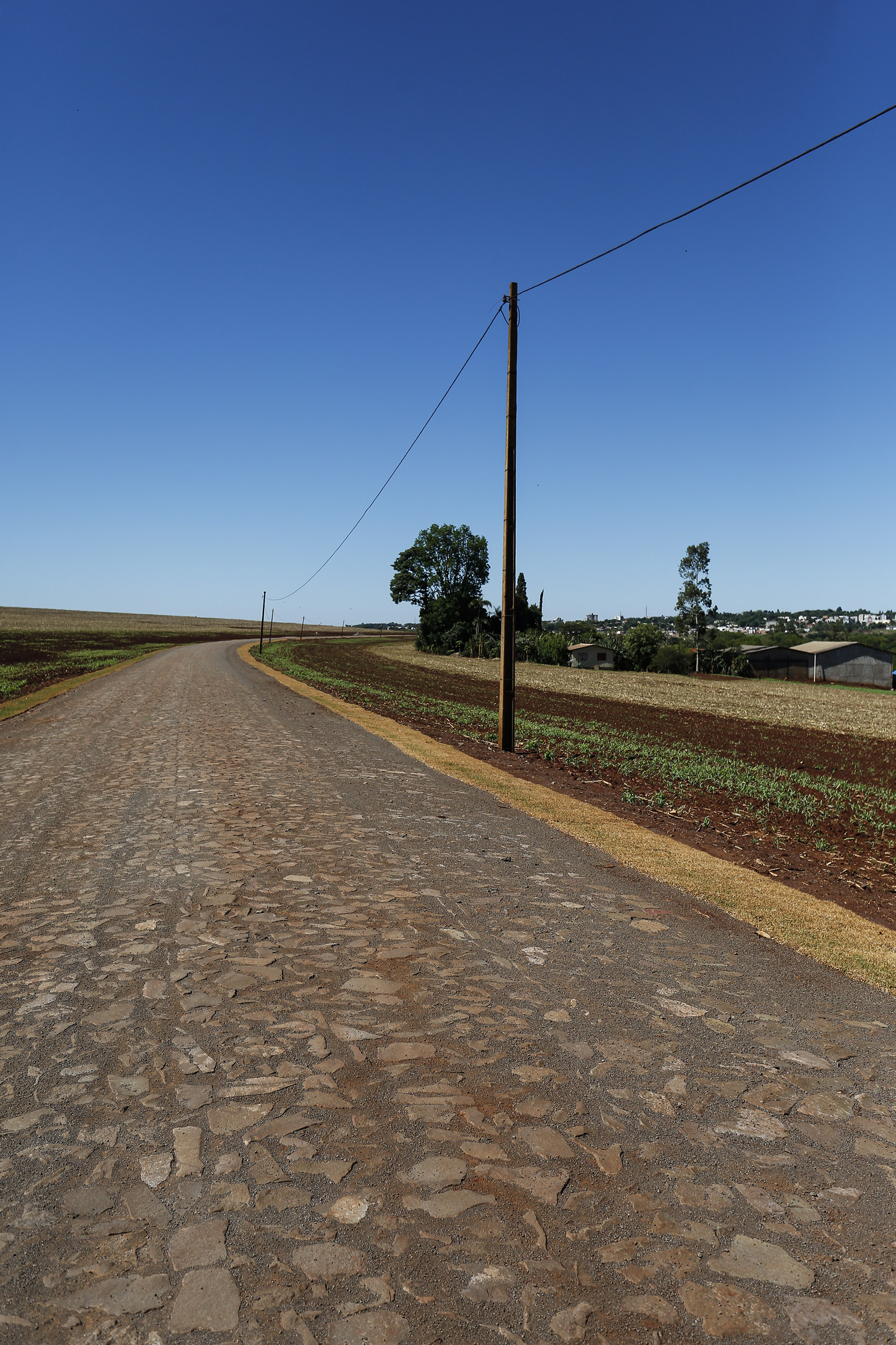 estrada palotina