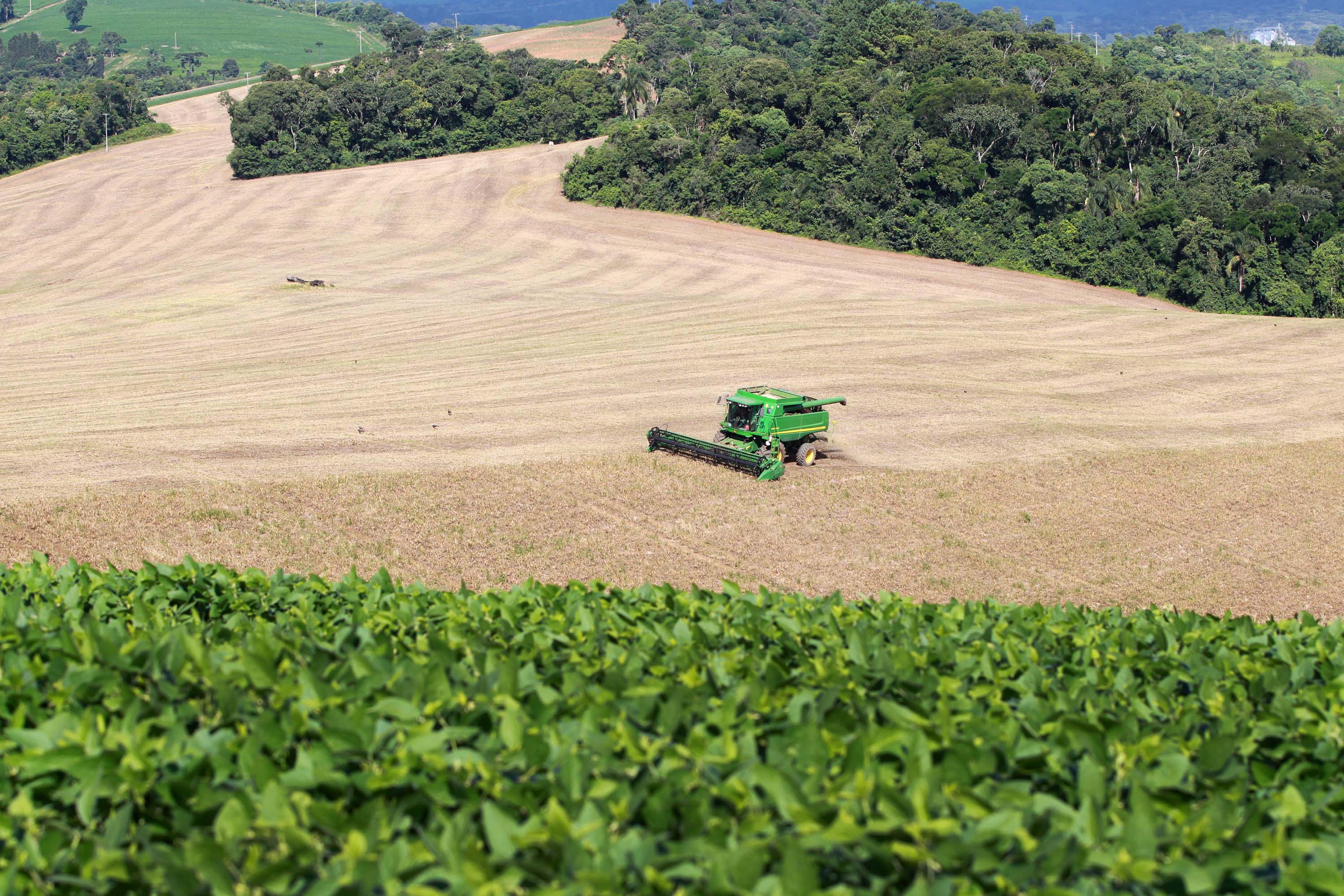 agropecuária