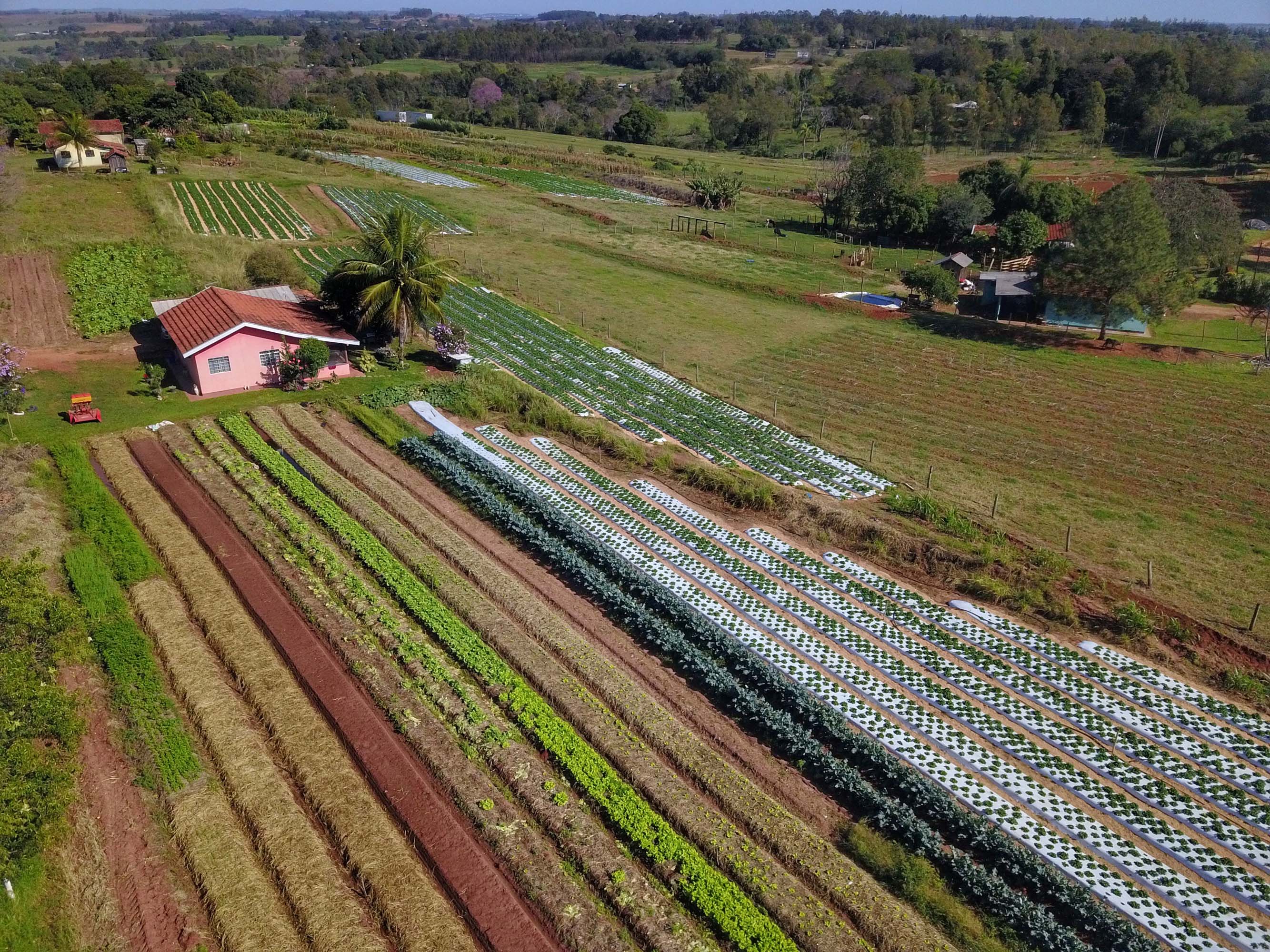 agricultura