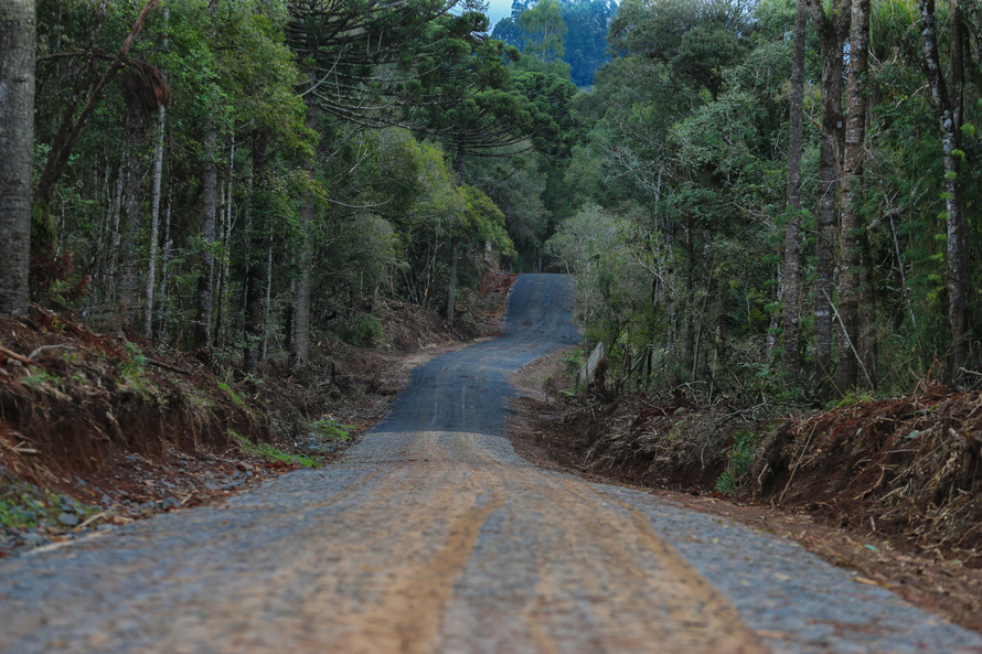 pedras