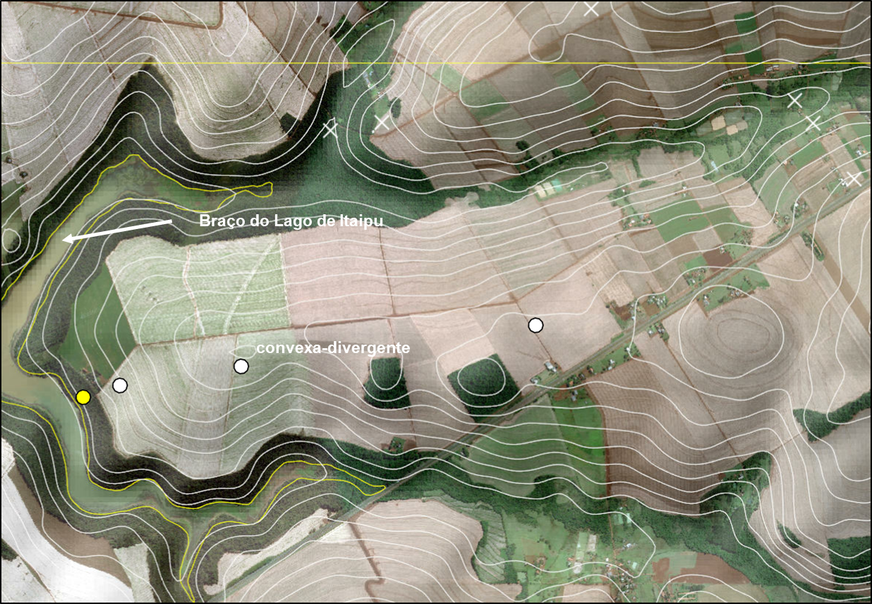 Figura 3 – Pedossequência amostral com alinhamento de coleta de informações de solos e vegetação em rampa convexa-divergente, com término em lago.