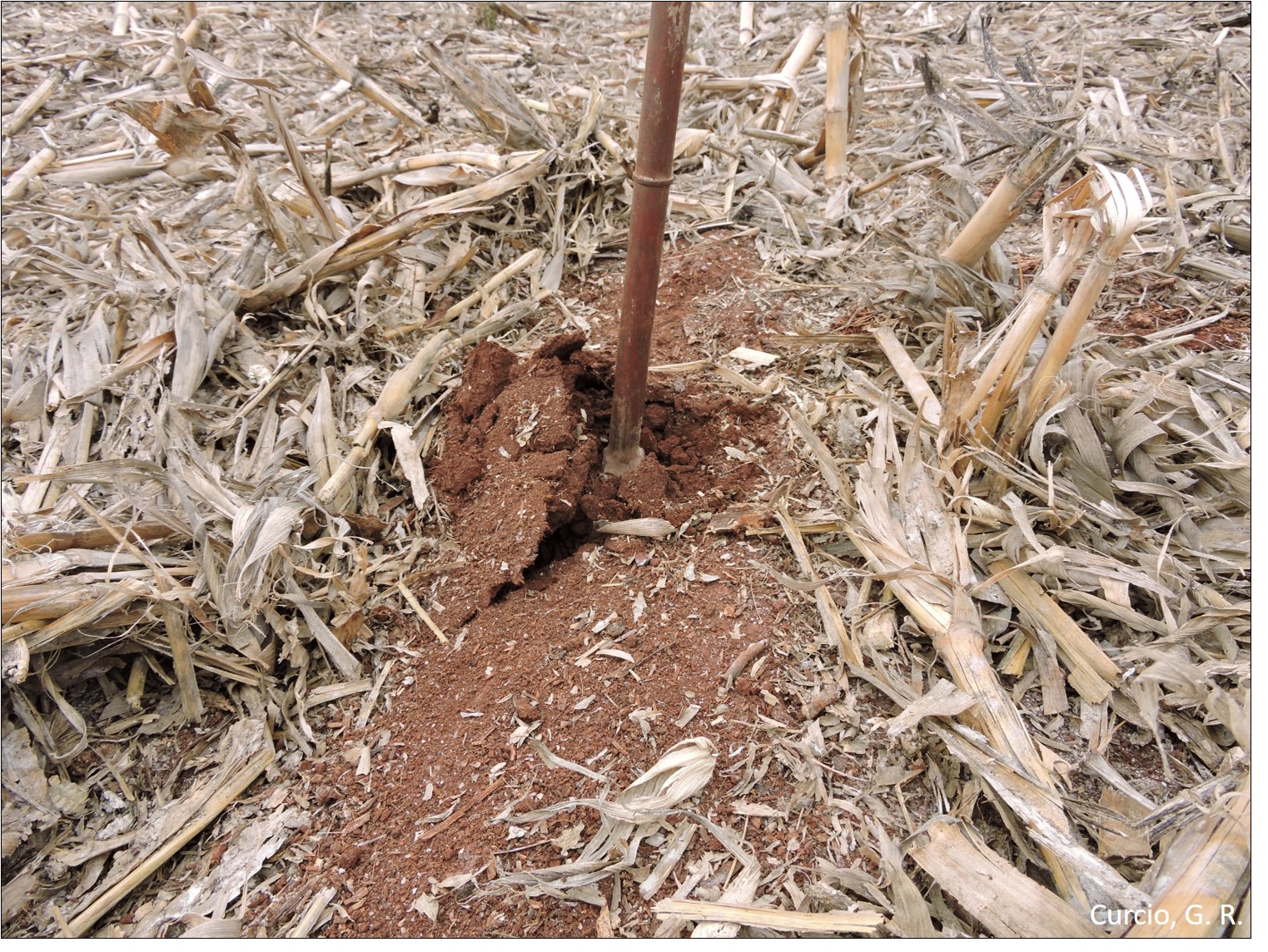 Figura 10a – Detecção de encrostamento.