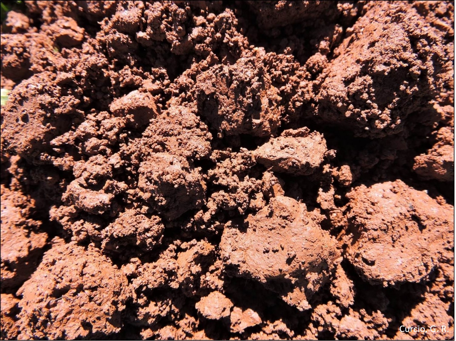 Estrutura compactada de horizonte A de Latossolo Vermelho sob lavoura.