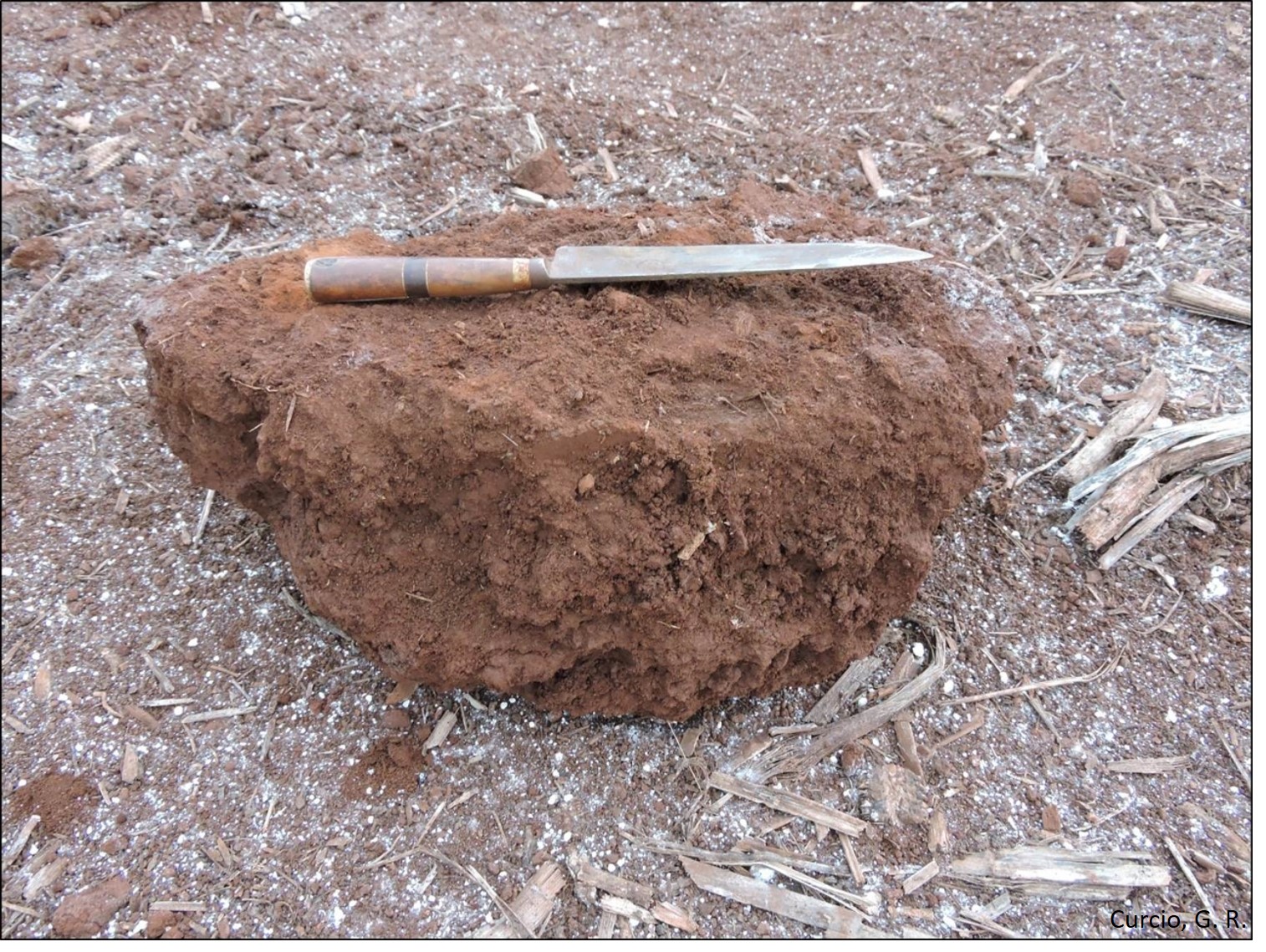 Torrão de horizonte A compactado de Latossolo Vermelho.