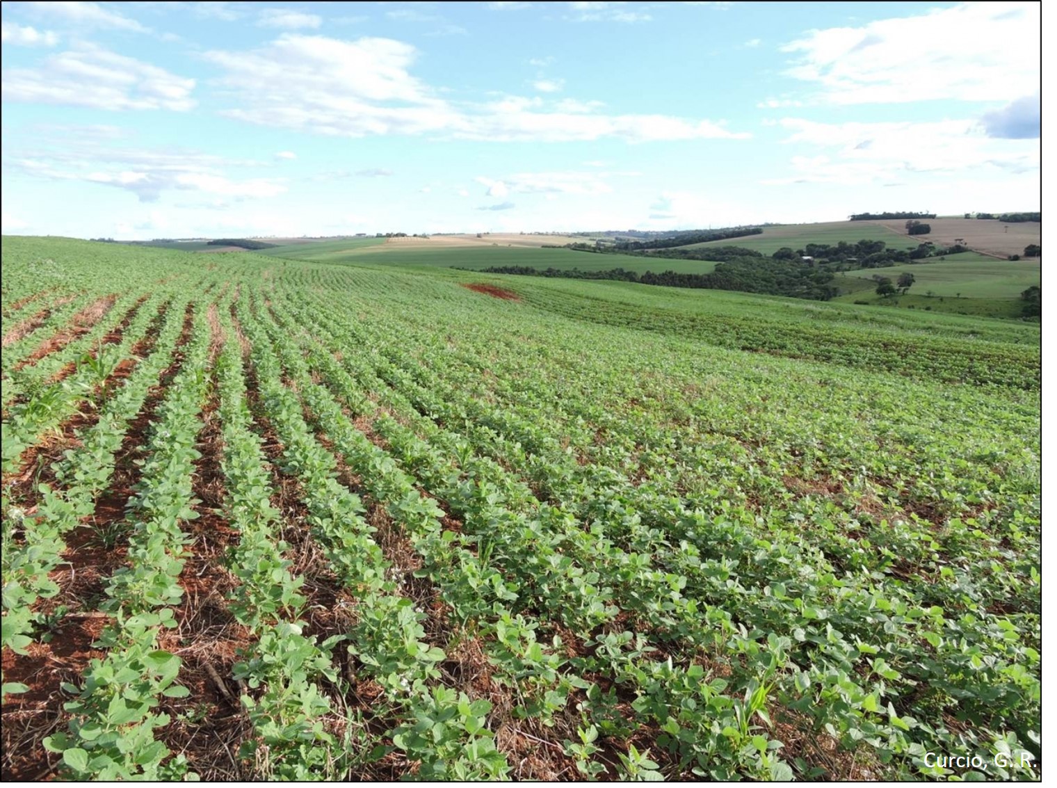 Fisiografia típica da Província Convexada.