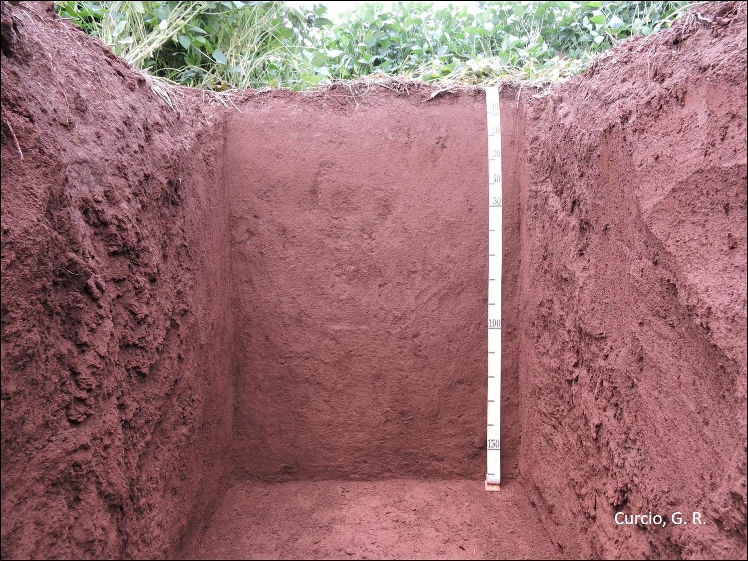 Latossolo Vermelho 530m.