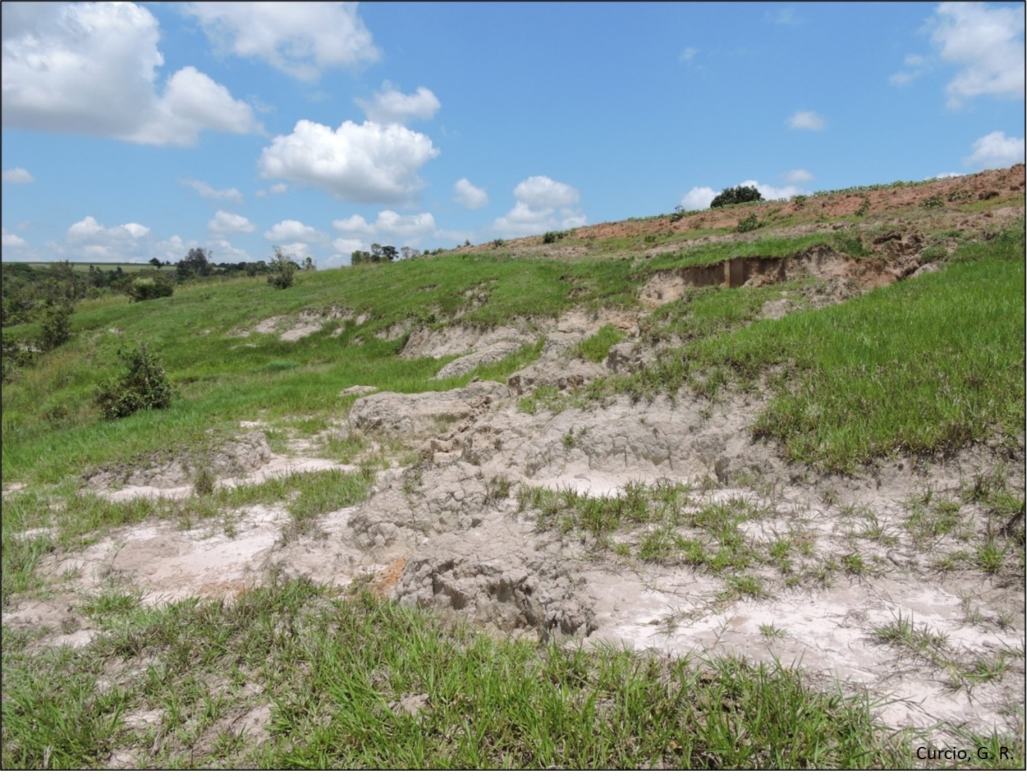 Figura 3 - Erosão em área marginal fluvial em Planossolo Háplico.
