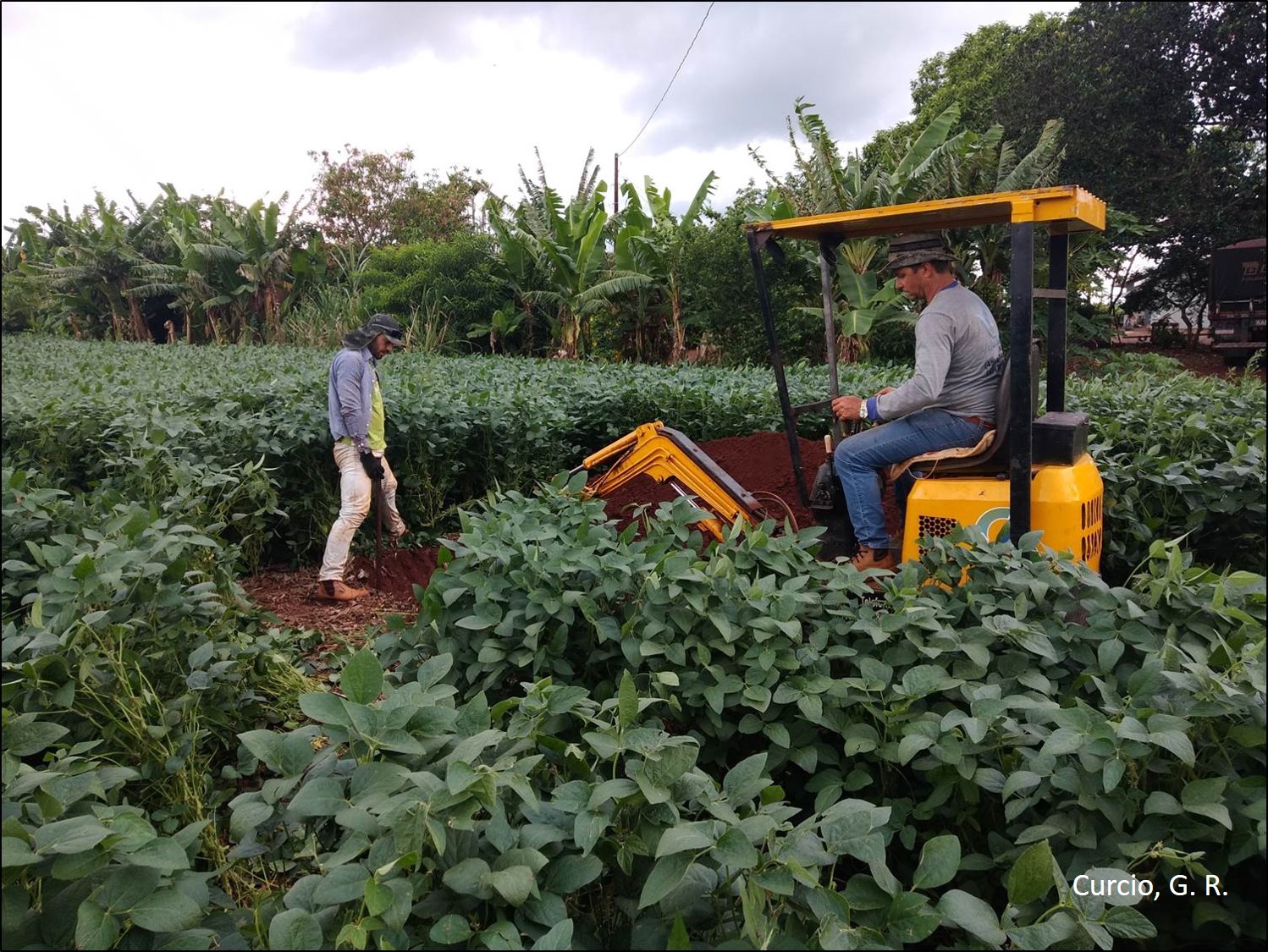 Abertura de perfil em lavoura.