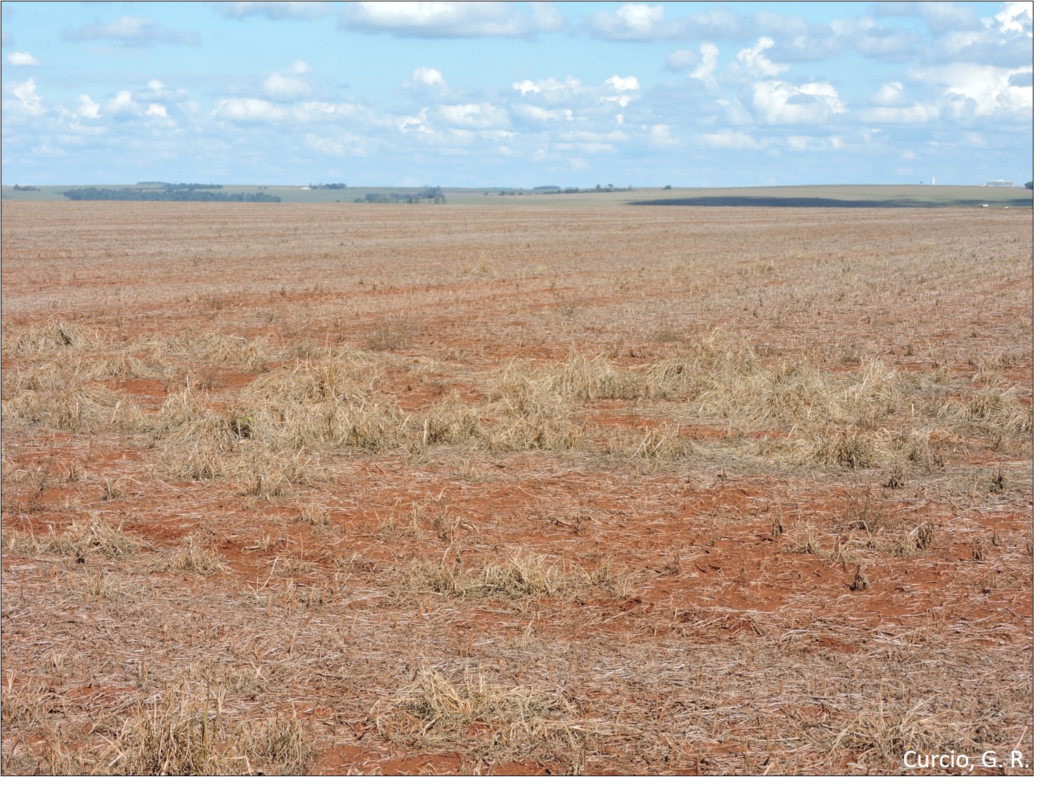 Aspecto de relevo plano