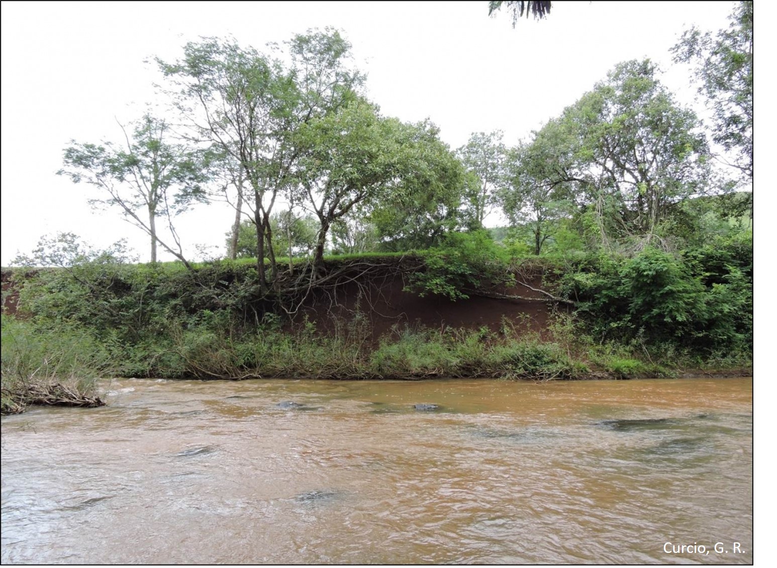 Dique marginal soerguido