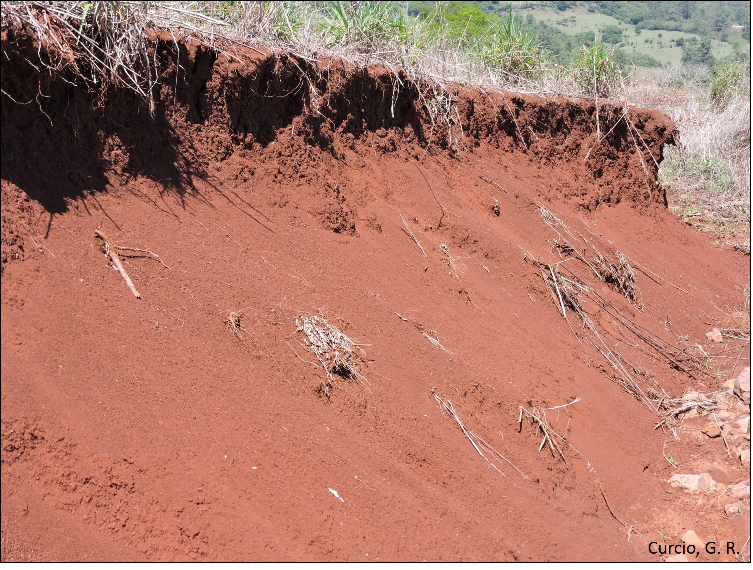 Feição lateral típica de Nitossolo Vermelho.