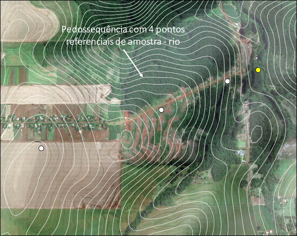 Figura 7 – Pedossequência com 4 pontos referenciais de amostragem com término em rio.