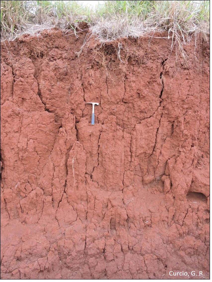 Latossolo Vermelho Distroférrico típico.
