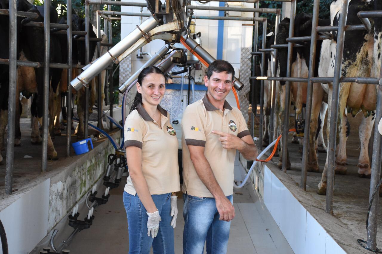 Queijo artesanal de Salgado Filho é o primeiro produto paranaense a receber o Selo Arte
