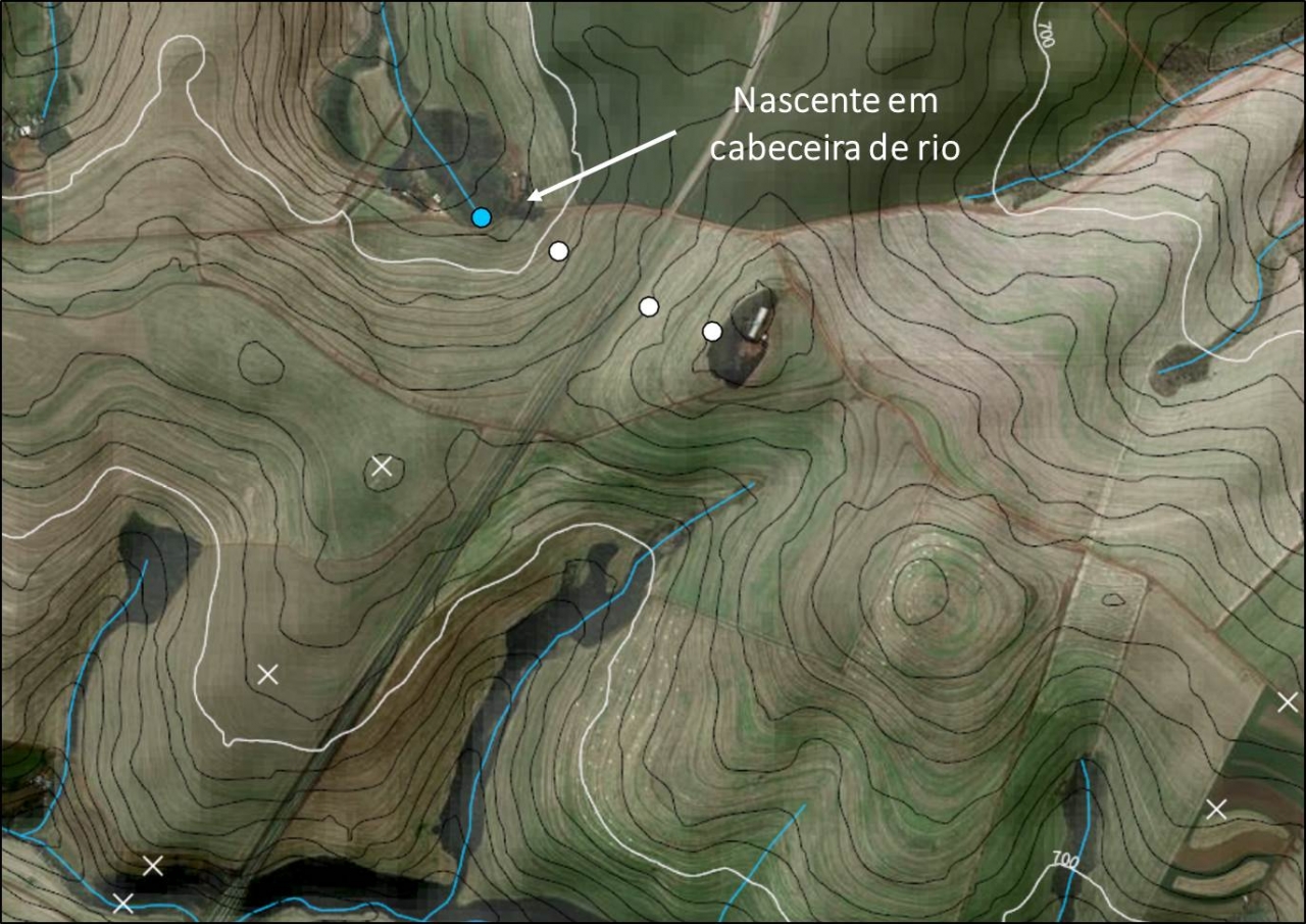 Nascente em cabeceira de drenagem.