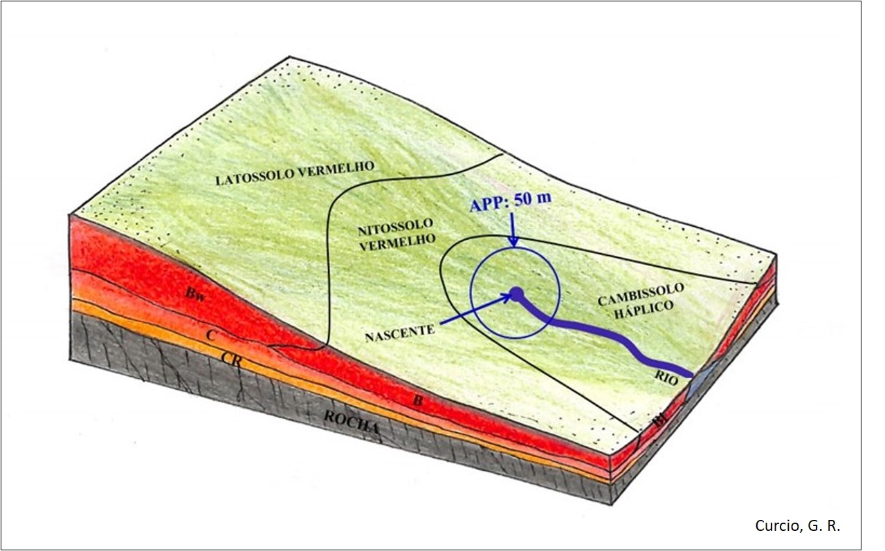 Figura 1 - Representação de Área de Preservação Permanente.