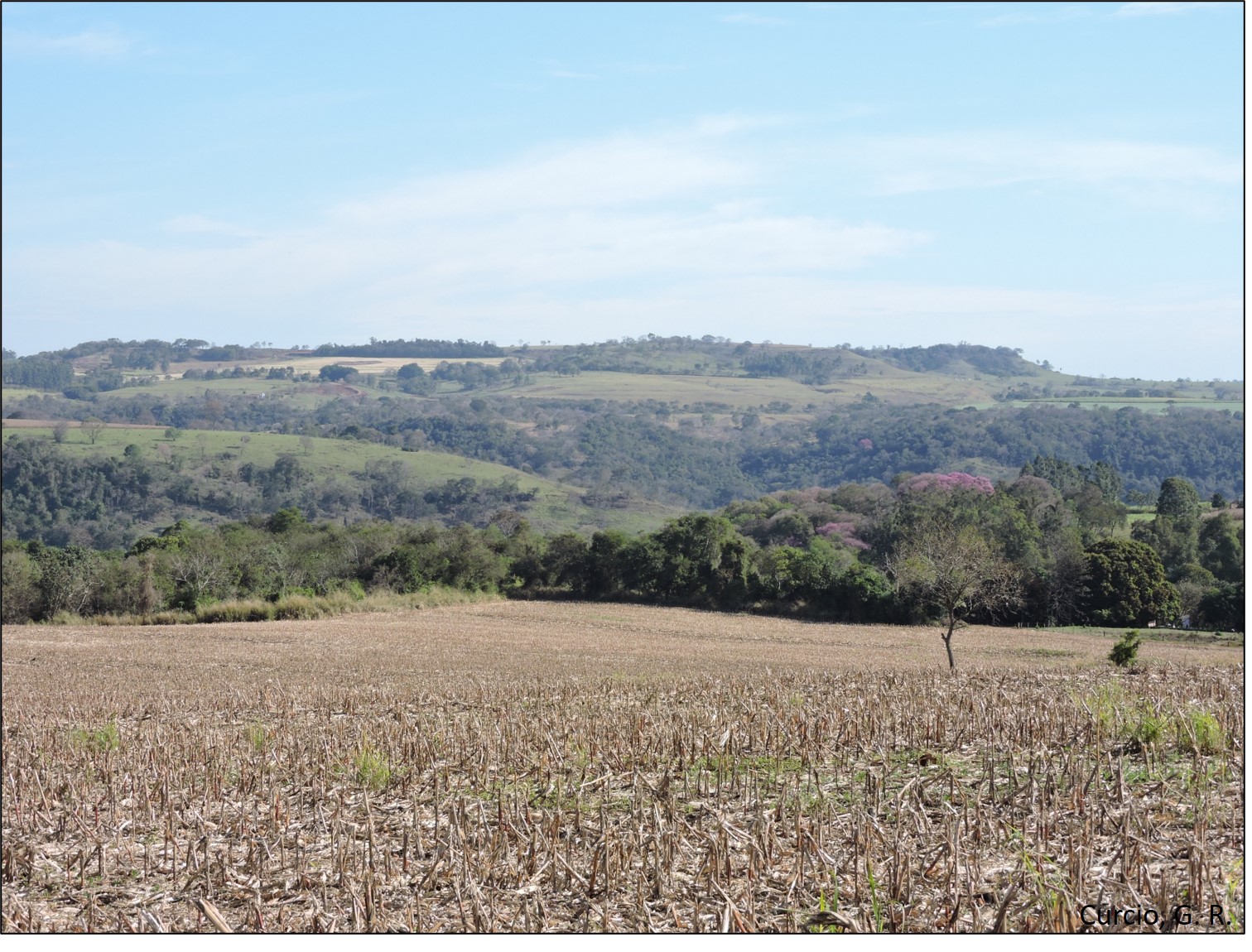 Cumeeira plana ao fundo com Neossolo Regolítico.