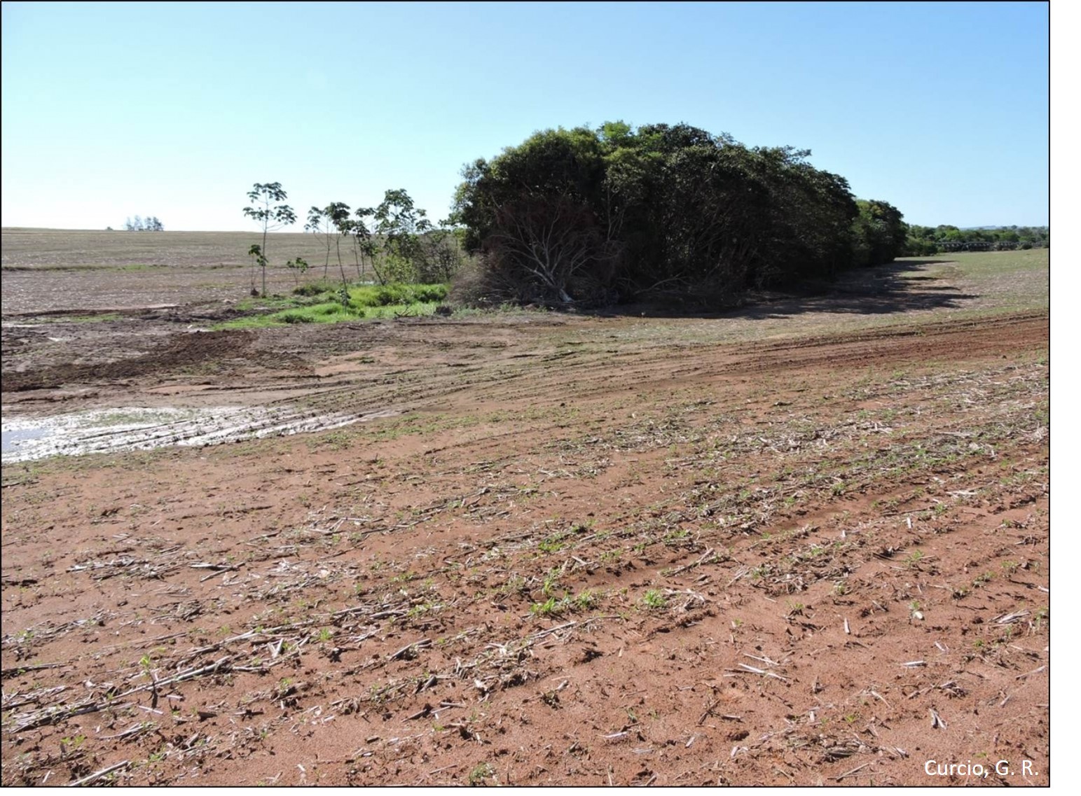 Desmatamento em área de nascente.
