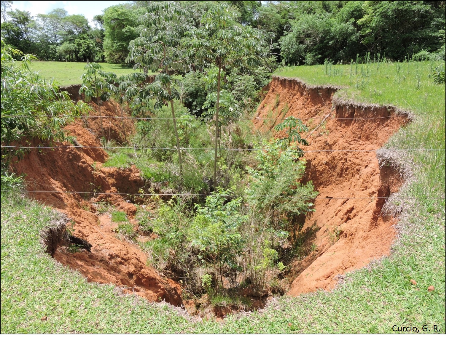 Figura 2 - Nascente desprovida de proteção florestal com vossoroca.