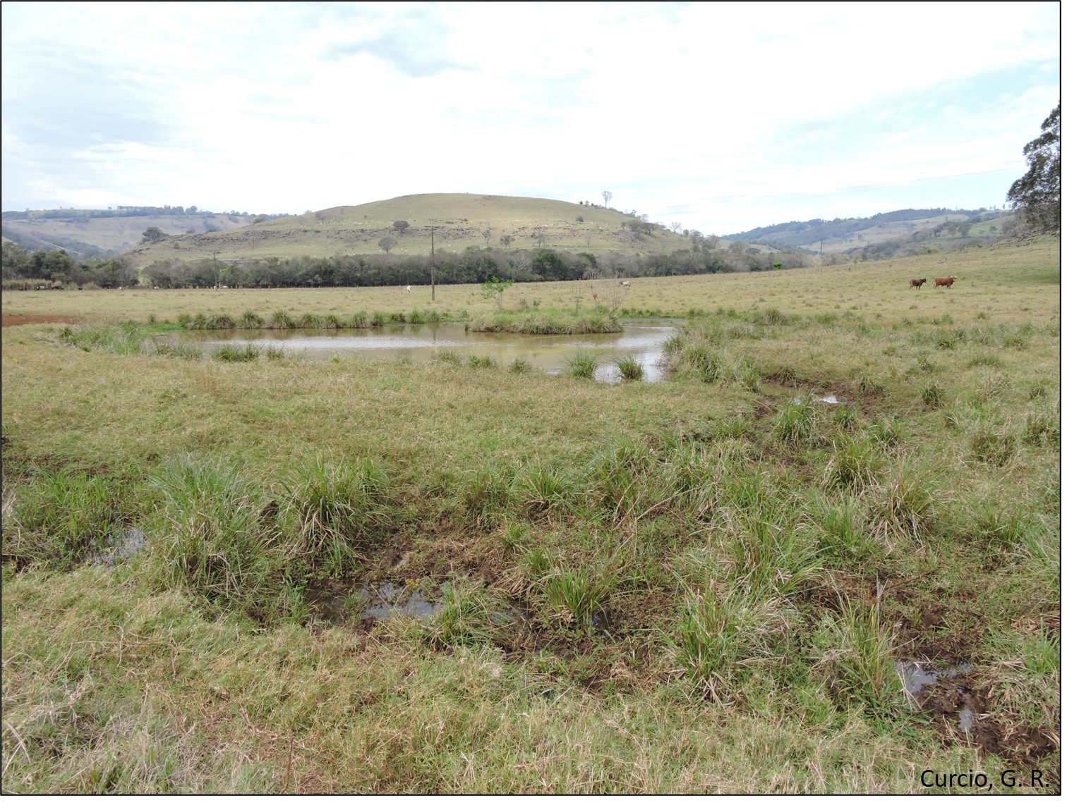 Relevo de planície fluvial. Figura 3 – Relevo de planície fluvial.