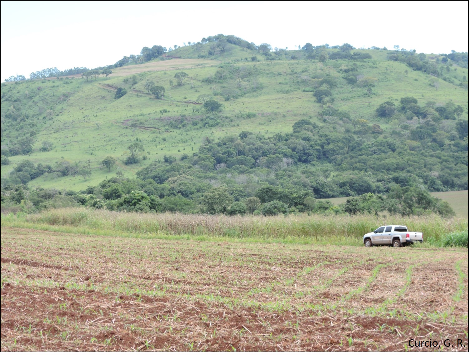Relevo escarpado com Neossolo Regolítico e Neossolo Litólico.
