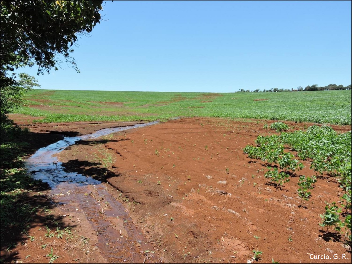 Soterramento de solo em área de nascente.