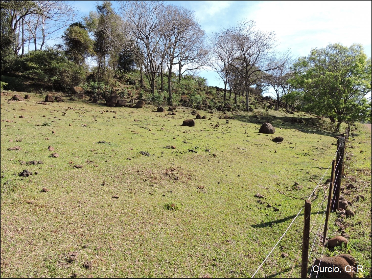 Figura 5 - Paisagem de Cambissolo Háplico associado a Neossolo Regolítico.