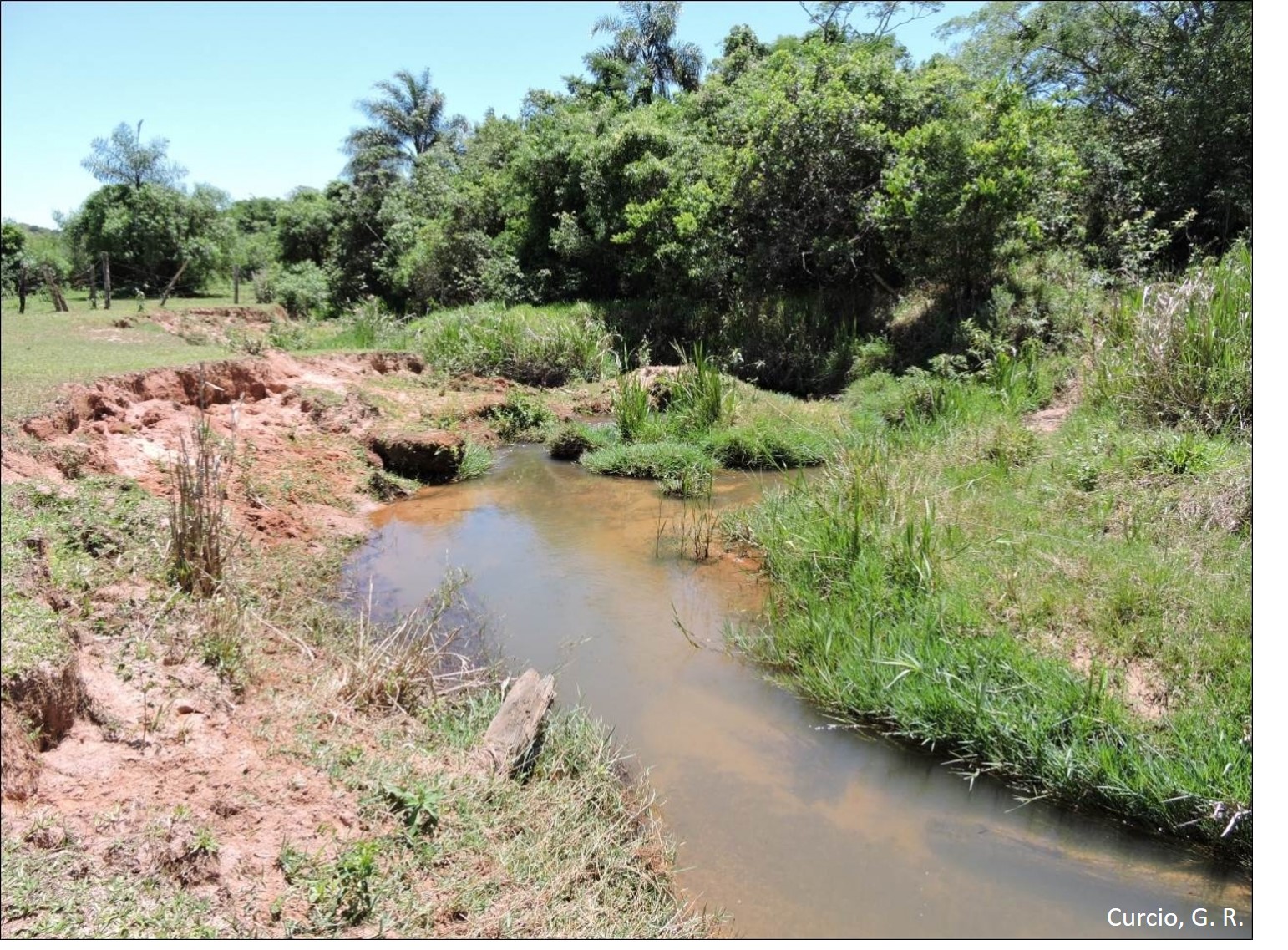 Figura 5 - Planície assoreada e com solapamento de margem fluvial.