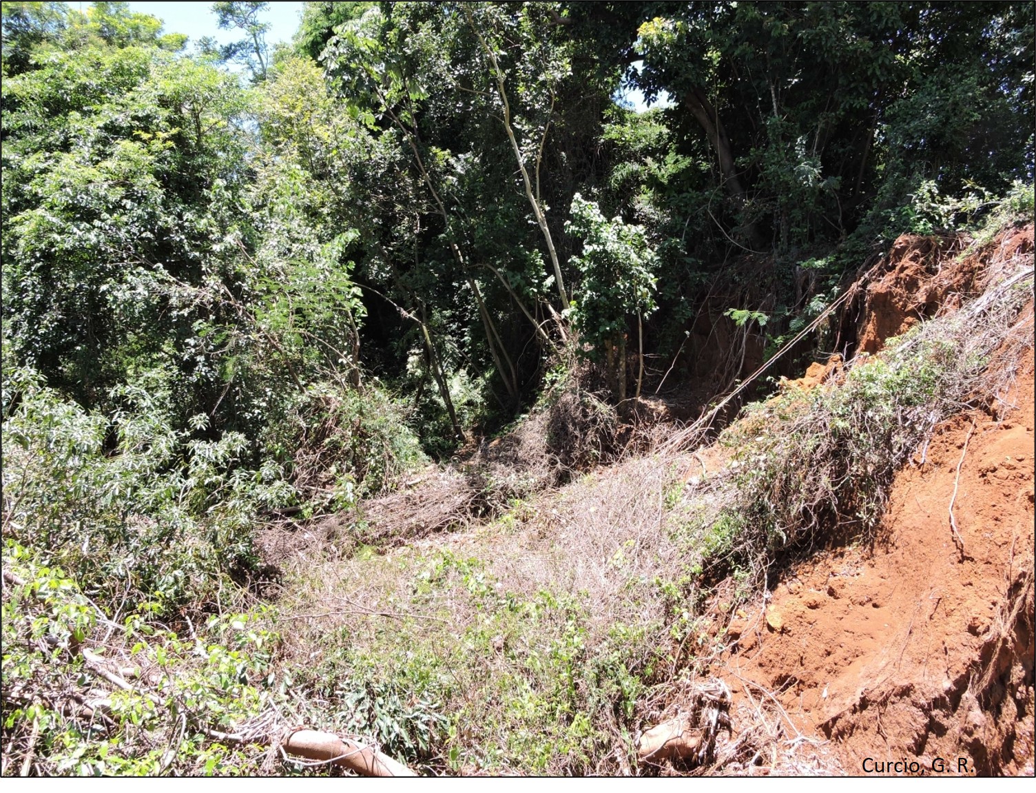 Vossorocamento em área de nascente.