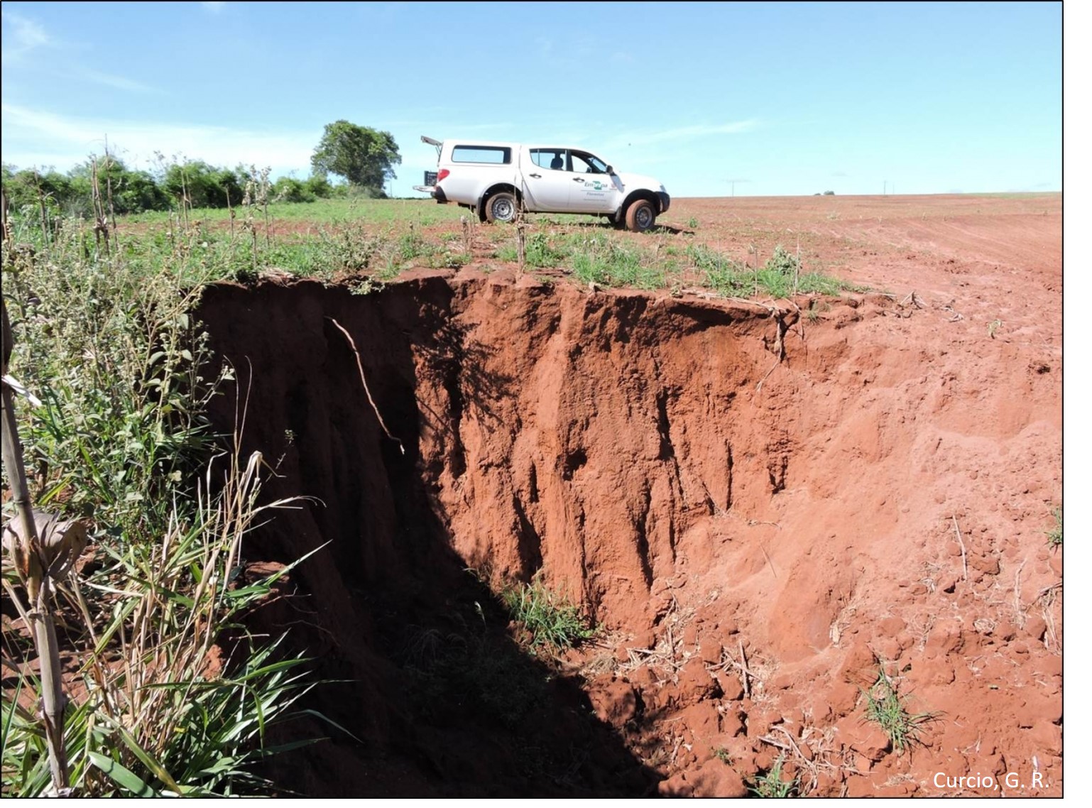 Vossoroca em Argissolo Vermelho.