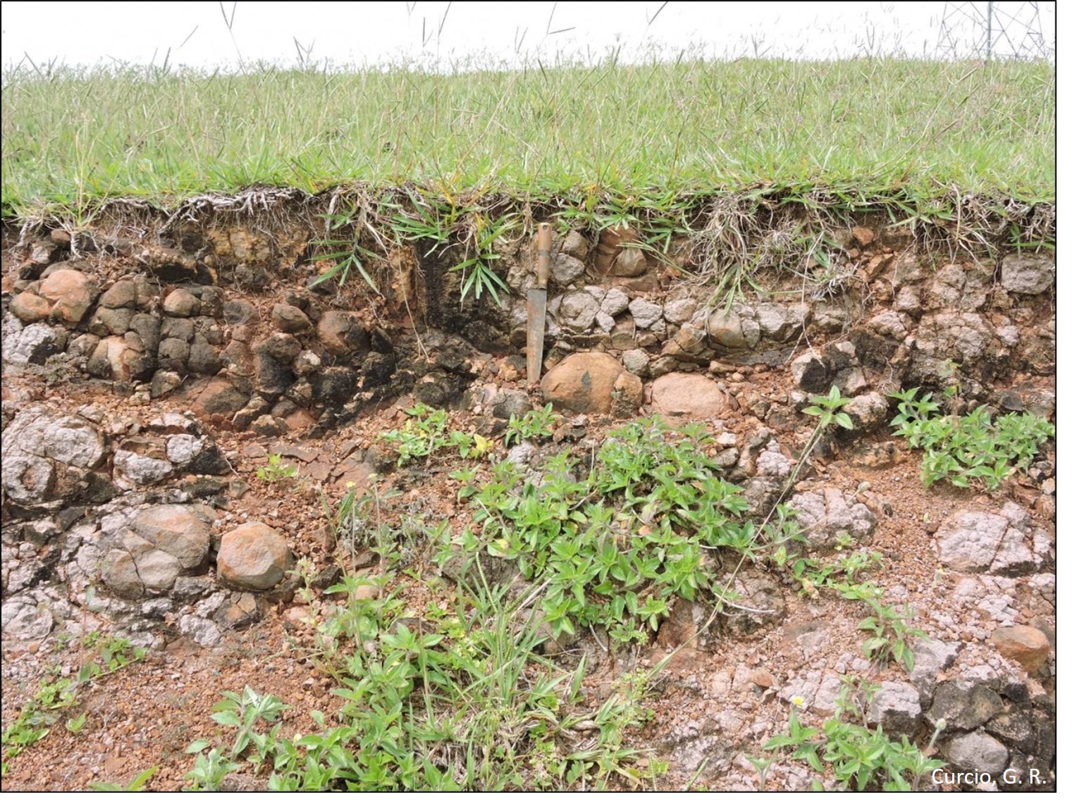 Neossolo Litólico substrato eruptivas.