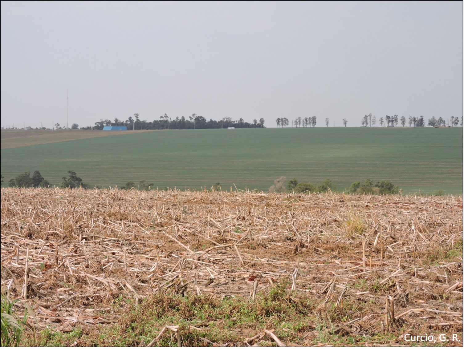 Figura 3 - Província Convexada, subplanalto Campo Mourão.